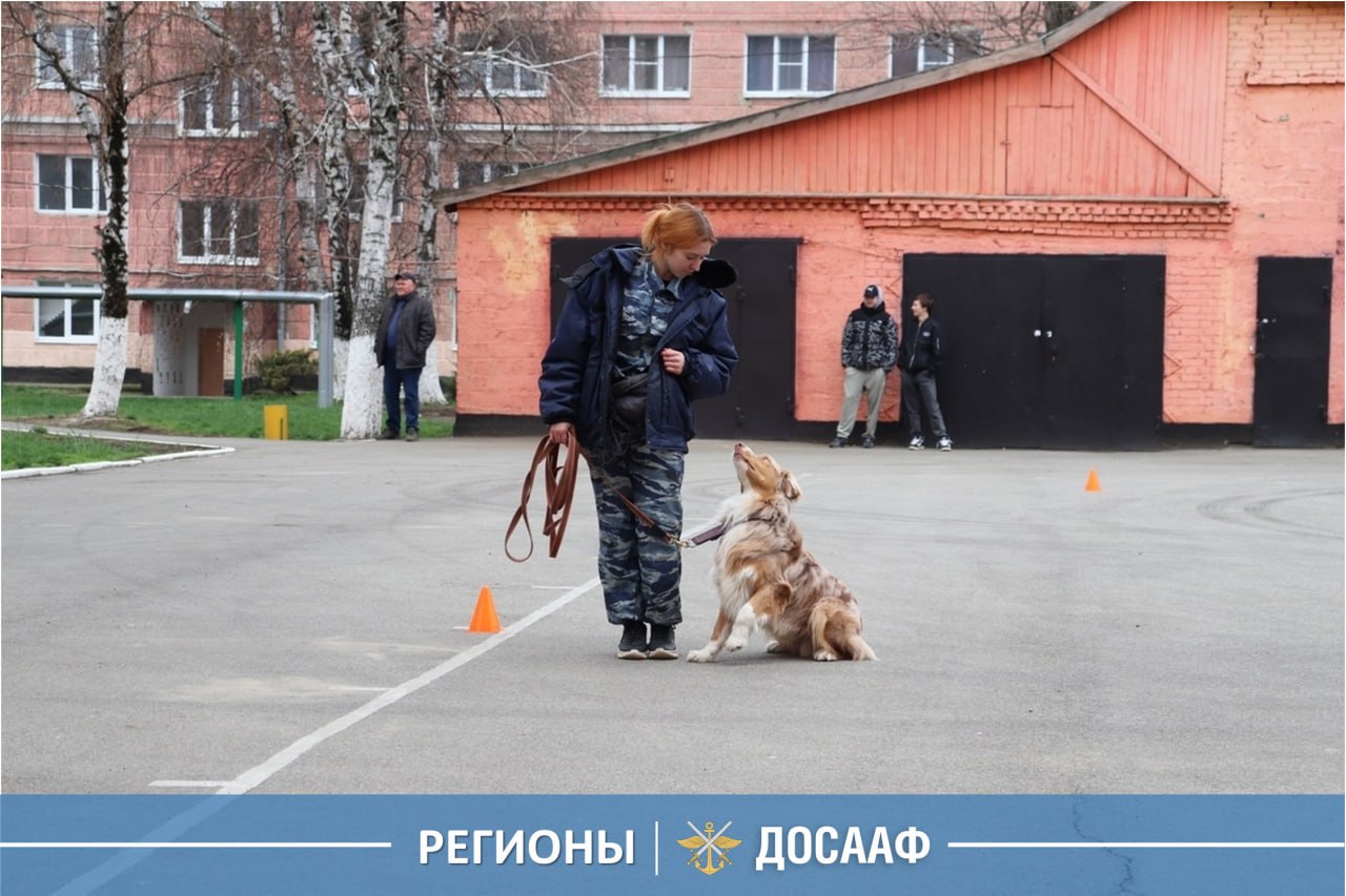 Армавирский клуб служебного собаководства ДОСААФ России отметил 65 лет